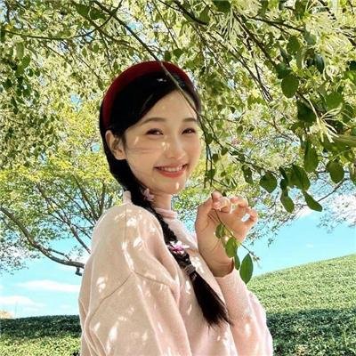 节日开始了 在线观看