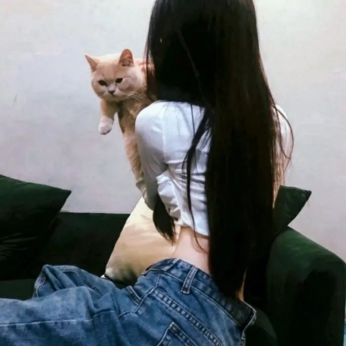 船续前行 在线观看